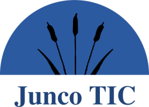 logo_juncotic
